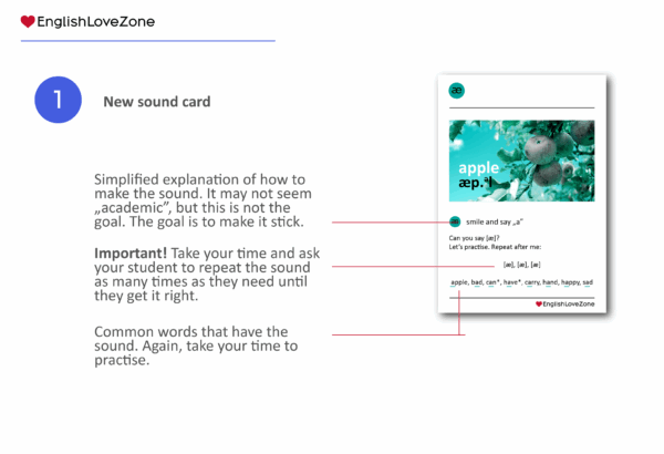 British English Pronunciation for Busy People, PDF, Teaching Cards + Teacher's Guide - Image 3